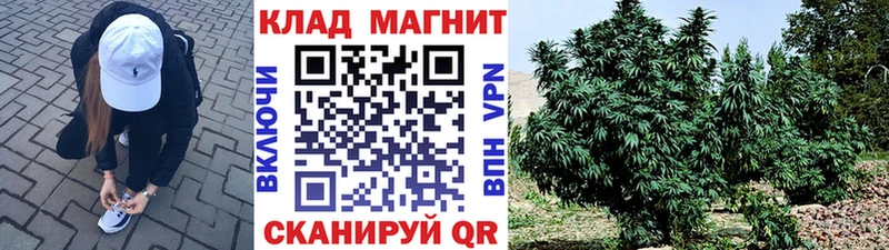 Купить наркотик Пугачёв Alpha-PVP  Кокаин  Меф мяу мяу  Канабис  Амфетамин  ГАШ 