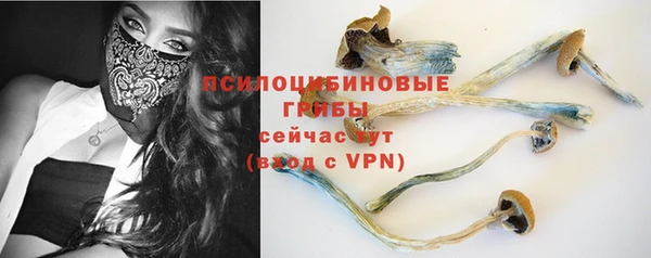 винт Аркадак