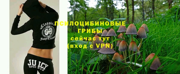 ГАЛЛЮЦИНОГЕННЫЕ ГРИБЫ Армянск
