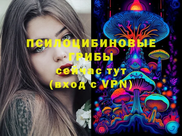 ГАЛЛЮЦИНОГЕННЫЕ ГРИБЫ Армянск