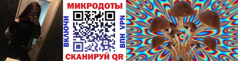 где купить   кракен как зайти  Галлюциногенные грибы Magic Shrooms  Пугачёв 