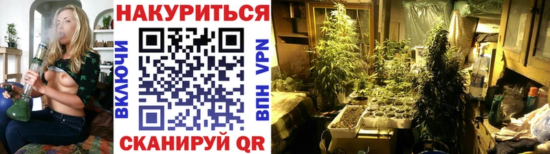 мега ССЫЛКА  что такое наркотик  Пугачёв  Шишки марихуана Amnesia 